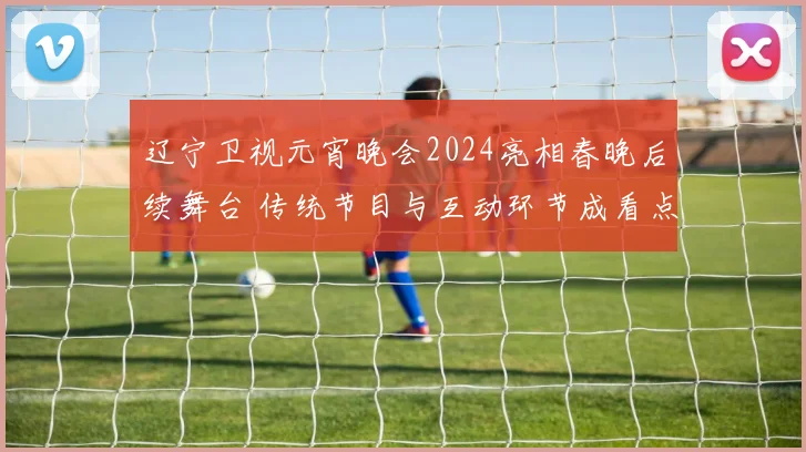 辽宁卫视元宵晚会2024亮相春晚后续舞台 传统节目与互动环节成看点